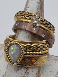 ixxxi ring compleet, maat 20