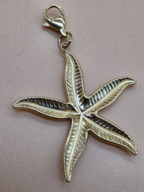 RVS charm, Zeester. Goud.