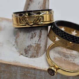 ixxxi ringen set compleet maat 20.5 en 10 mm breed 25-304