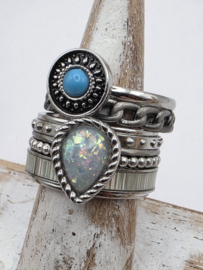 ixxxi ring compleet, maat 17