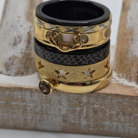 ixxxi ringen set compleet maat 20.5 en 10 mm breed 25-304