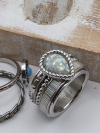 ixxxi ring compleet, maat 17