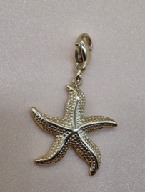 RVS charm, zeester. Goud.