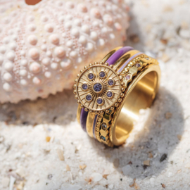 Vulring Midnight  Tanzanite Goud