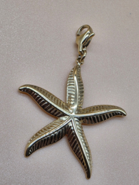 RVS charm, Zeester. Goud.