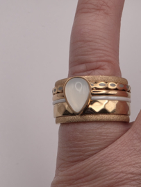 ixxxi ring compleet, maat 19 met limited edition basisring.