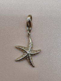 RVS charm, zeester. Goud.