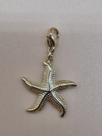 RVS charm, zeester. Goud.