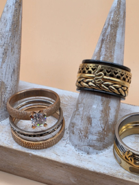 ixxxi ringen set compleet maat 17. 1 basis en 10 vulringen. 25-325