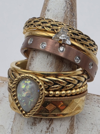 ixxxi ring compleet, maat 20