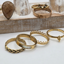 ixxxi ringen set compleet maat 17. 1 basis en 10 vulringen. 25-325