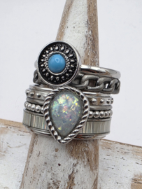 ixxxi ring compleet, maat 17