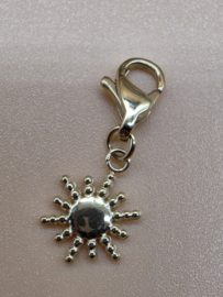 RVS charm, zon Goud.