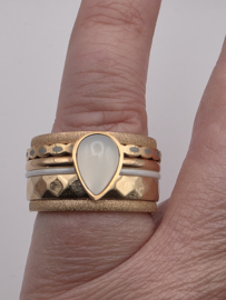 ixxxi ring compleet, maat 19 met limited edition basisring.