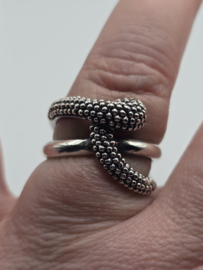 Echt zilveren ring maat 18 fantasie