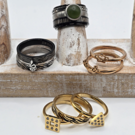 ixxxi ringen set compleet maat 17. 1 basis en 11 vulringen. 25-324