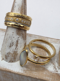 ixxxi ring compleet, maat 17