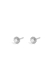 Roestvrijstalen Oorknopjes, fantasie model mini, zilver
