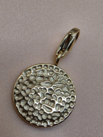 RVS charm, gehamerd rond. Goud.