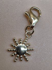 RVS charm, zon Goud.