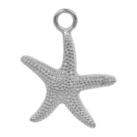 charm sea star zilver