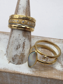 ixxxi ring compleet, maat 17