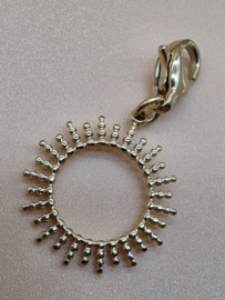 RVS Charm, zon, Goud.