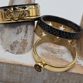 ixxxi ringen set compleet maat 20.5 en 10 mm breed 25-304