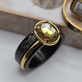 ixxxi ringen set compleet maat 20.5 en 8 mm breed 25-301