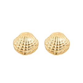 Ear studs shell