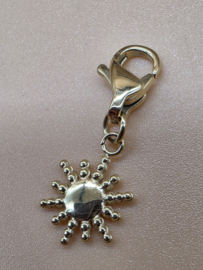 RVS charm, zon Goud.