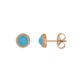 E0120199002 Ear studs Matt aqua