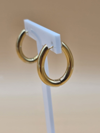 Hoepel oorbellen - dikke ovale ring 20x25mm