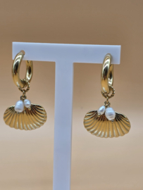 Creolen met bedel schelp, en zoetwaterparels