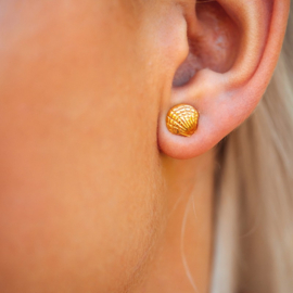 Ear studs shell