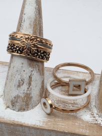 ixxxi ring compleet, maat 17