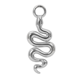 Charm snake zilver