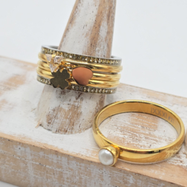 ixxxi ring compleet maat 21 nummer 25-300