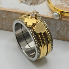 ixxxi ring compleet maat 21 nummer 25-300