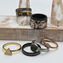 ixxxi ringen set compleet maat 17. 1 basis en 11 vulringen. 25-324