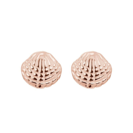 Ear studs shell