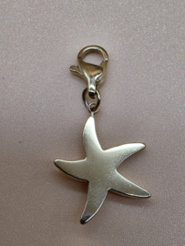 RVS charm, zeester. Goud.