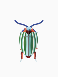 Studio ROOF - Rainbow Leaf Beetle