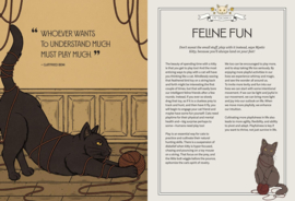 Mystic Kitty - A Cat's Guide to Meditation