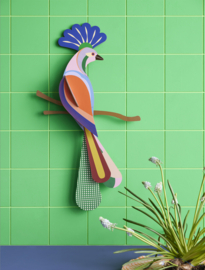 Studio ROOF - Paradise Bird - Tinjil