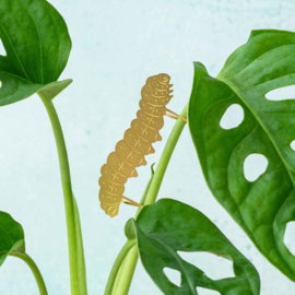 Another Studio - Plant Animal Caterpillar