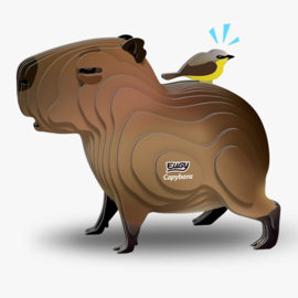 Eugy - Capybara