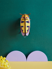 Studio ROOF - Mango Flower Beetle