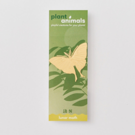 Another Studio - Plant Animal Lunar Moth