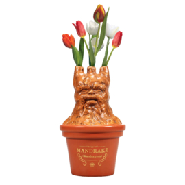 Half Moon Bay - Harry Potter - Mandrake Shaped Vase